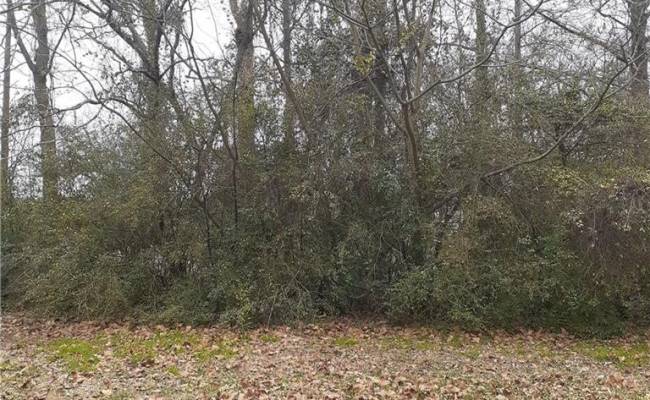 .27c Hofflers Creek Park, Portsmouth, VA 23703