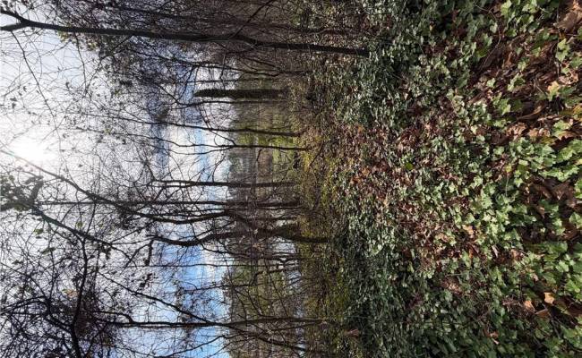 1208 Railroad Avenue, Chesapeake, VA 23324