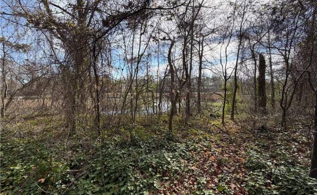 1208 Railroad Avenue, Chesapeake, VA 23324