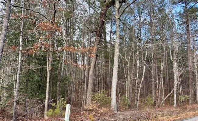 108 AC New & Seacock Chapel Road, Southampton County, VA 23866 photo 10
