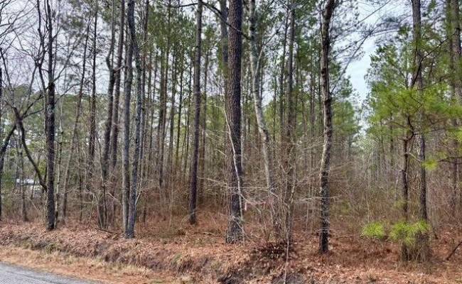 108 AC New & Seacock Chapel Road, Southampton County, VA 23866 photo 11