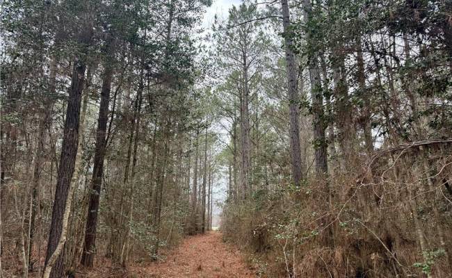 108 AC New & Seacock Chapel Road, Southampton County, VA 23866 photo 16