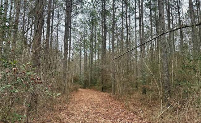 108 AC New & Seacock Chapel Road, Southampton County, VA 23866 photo 19
