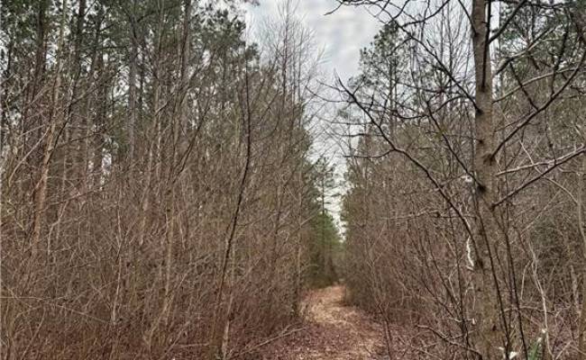 108 AC New & Seacock Chapel Road, Southampton County, VA 23866 photo 21