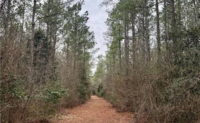 108 AC New & Seacock Chapel Road, Southampton County, VA 23866 photo 22