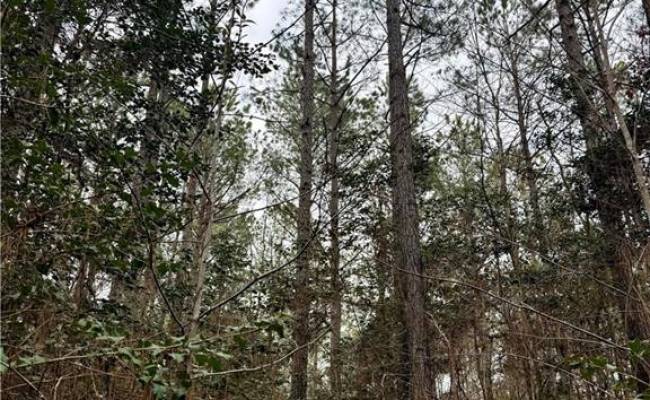 108 AC New & Seacock Chapel Road, Southampton County, VA 23866 photo 25