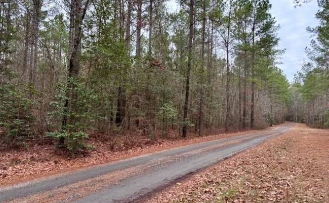 108 AC New & Seacock Chapel Road, Southampton County, VA 23866 photo 26