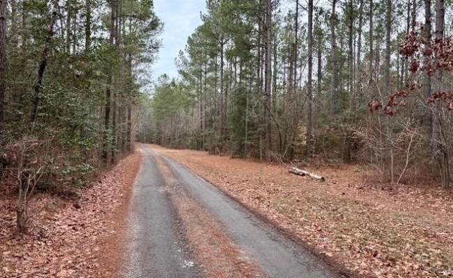 108 AC New & Seacock Chapel Road, Southampton County, VA 23866 photo 27