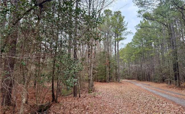 108 AC New & Seacock Chapel Road, Southampton County, VA 23866 photo 28