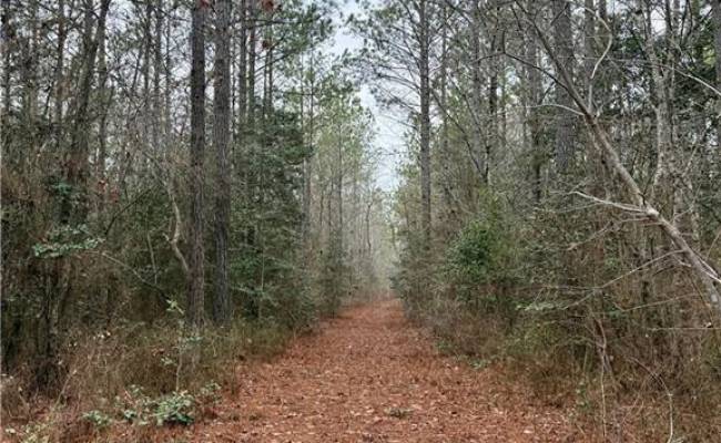 108 AC New & Seacock Chapel Road, Southampton County, VA 23866 photo 29