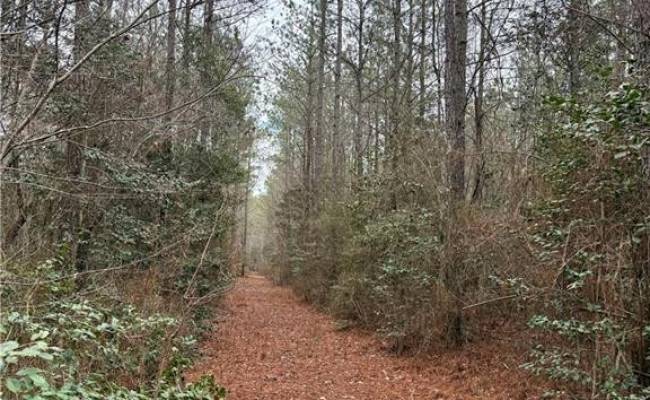 108 AC New & Seacock Chapel Road, Southampton County, VA 23866 photo 30