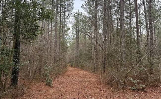 108 AC New & Seacock Chapel Road, Southampton County, VA 23866 photo 31