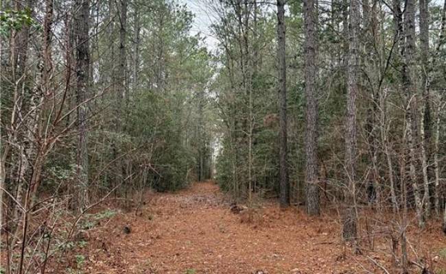 108 AC New & Seacock Chapel Road, Southampton County, VA 23866 photo 32