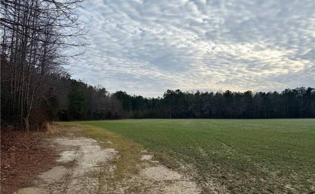 108 AC New & Seacock Chapel Road, Southampton County, VA 23866 photo 4