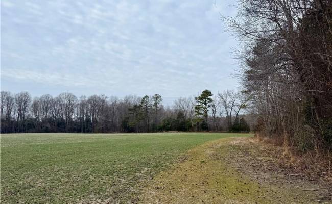 108 AC New & Seacock Chapel Road, Southampton County, VA 23866 photo 5