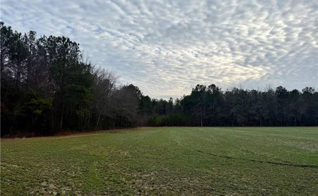 108 AC New & Seacock Chapel Road, Southampton County, VA 23866 photo 6