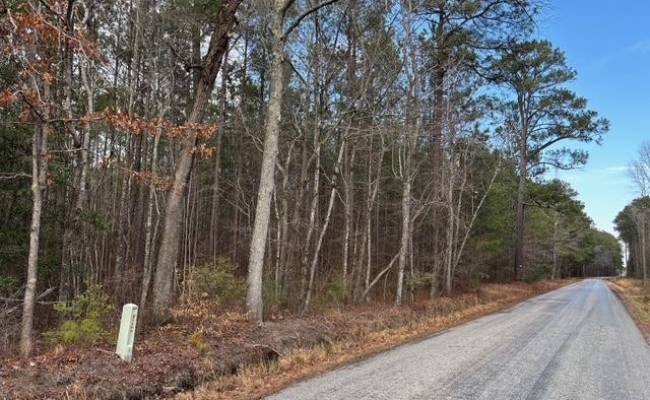 108 AC New & Seacock Chapel Road, Southampton County, VA 23866 photo 9