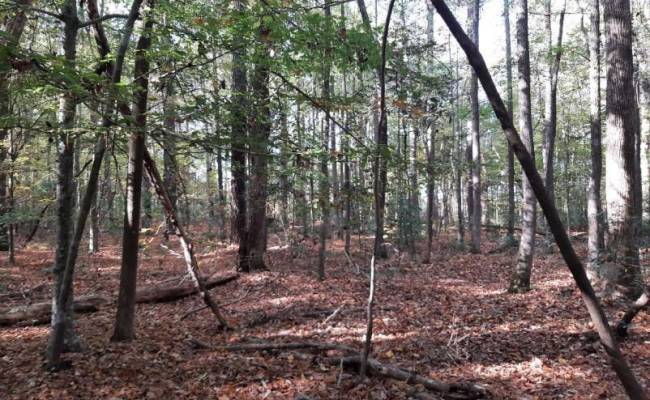 6616 Blackwater Road, Virginia Beach, VA 23457