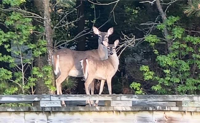 LOT 53 HERON POINTE Drive, Northampton County, VA 23310