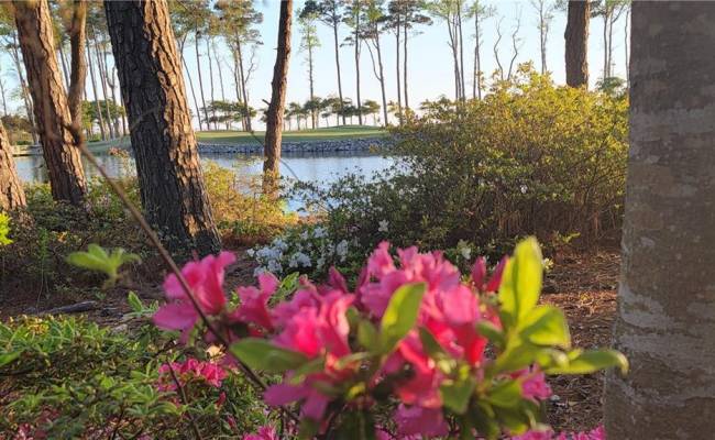 LOT 53 HERON POINTE Drive, Northampton County, VA 23310