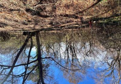 Lot 18 Douglas Avenue, Chesapeake, VA 23323