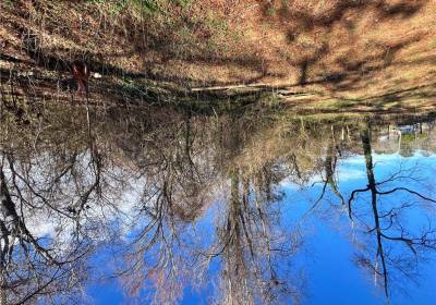 Lot 19 Douglas Avenue, Chesapeake, VA 23323