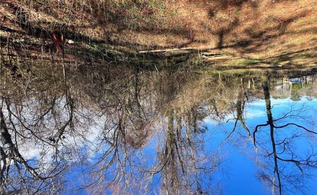 Lot 19 Douglas Avenue, Chesapeake, VA 23323