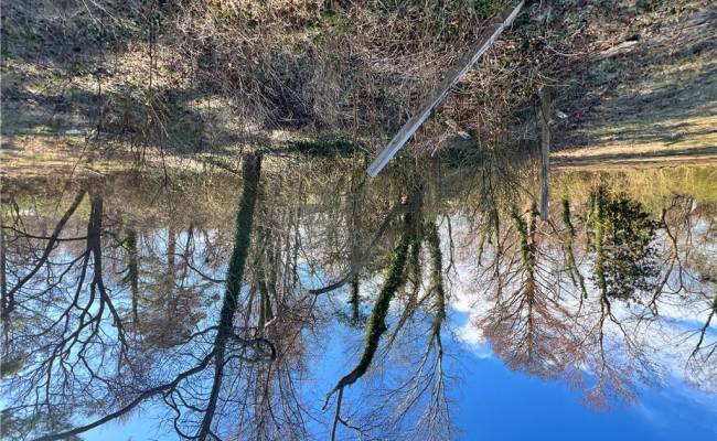 Lot 19 Douglas Avenue, Chesapeake, VA 23323