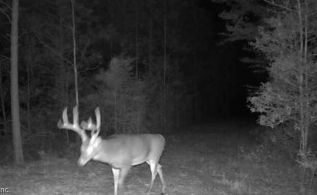 Lot 6 Fox Chase Drive, Surry County, VA 23839