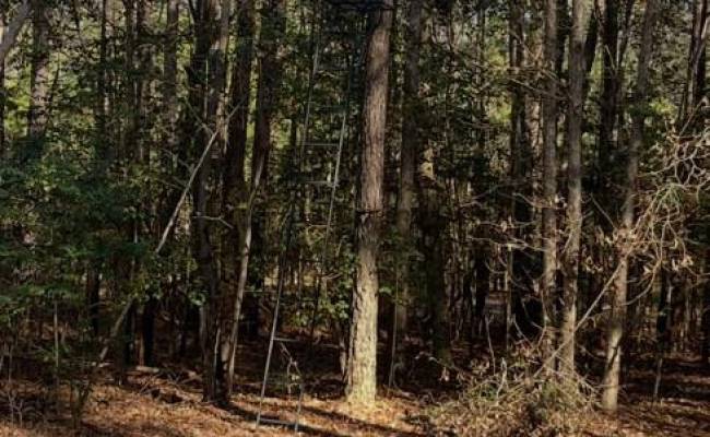 Lot 6 Fox Chase Drive, Surry County, VA 23839