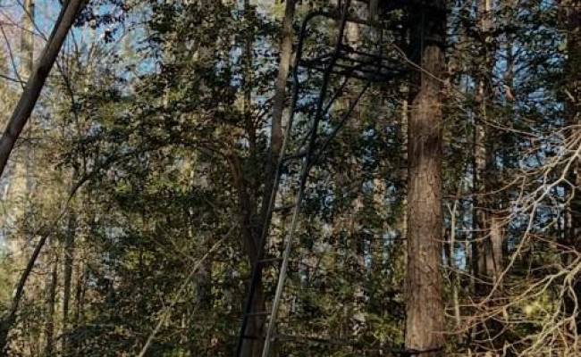 Lot 6 Fox Chase Drive, Surry County, VA 23839