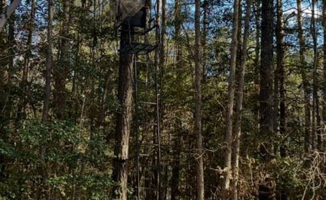 Lot 6 Fox Chase Drive, Surry County, VA 23839