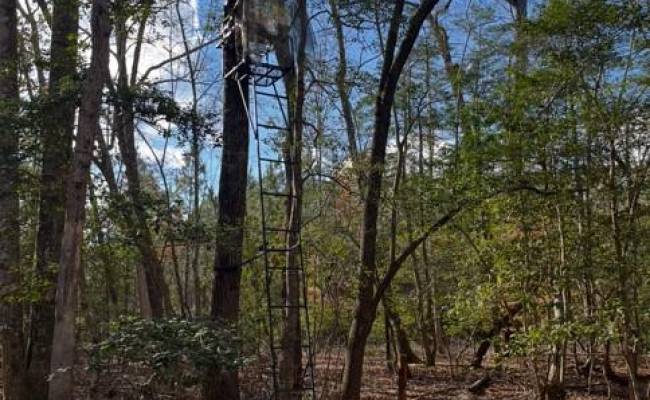 Lot 6 Fox Chase Drive, Surry County, VA 23839