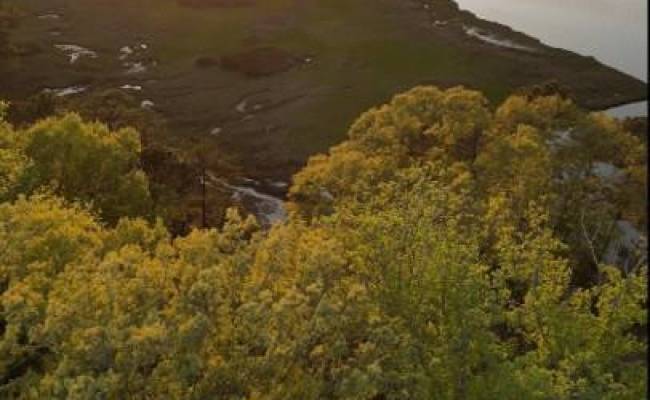 3424 Raintree Circle, Suffolk, VA 23435