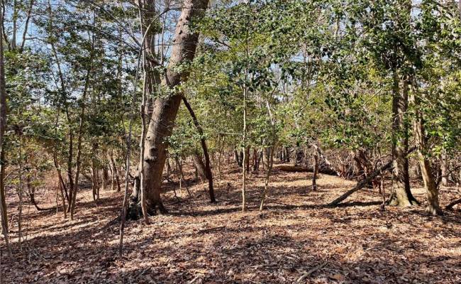 Lot129 Patriots Ridge, Isle of Wight County, VA 23314