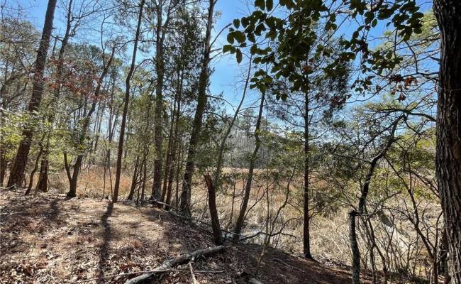 Lot129 Patriots Ridge, Isle of Wight County, VA 23314