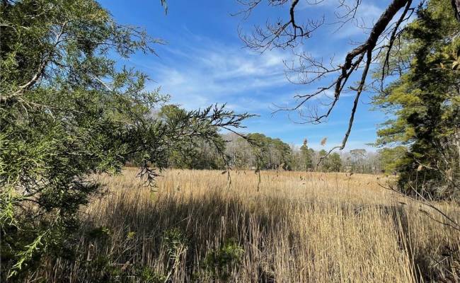 Lot129 Patriots Ridge, Isle of Wight County, VA 23314