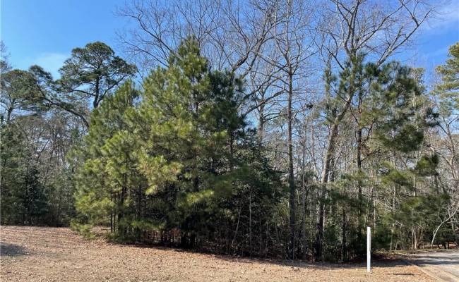 Lot129 Patriots Ridge, Isle of Wight County, VA 23314
