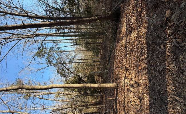 4.68AC King William Road, King William County, VA 23086