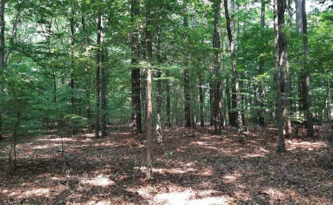 6628 Blackwater Road, Virginia Beach, VA 23457