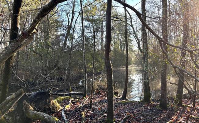 3016 New Bridge Road, Virginia Beach, VA 23456