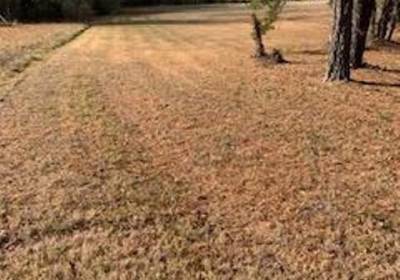 * Lots 1 and 2 River Road, Halifax County, VA 24592