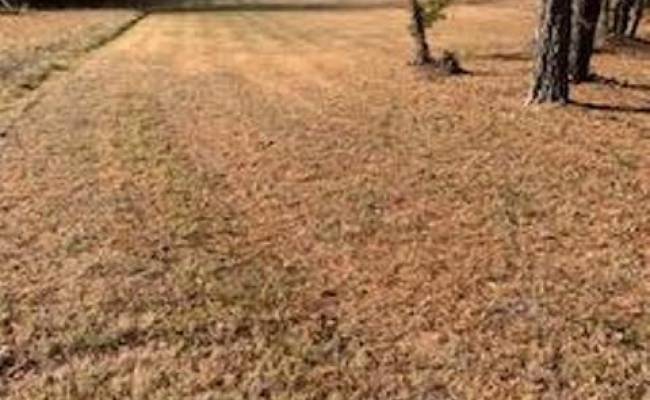 Lots 1 River &amp; lot 2 Road, Halifax County, VA 24592