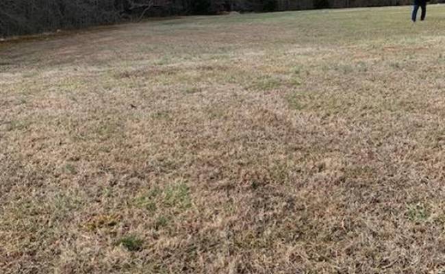 Lots 1 River & lot 2 Road, Halifax County, VA 24592 photo 2