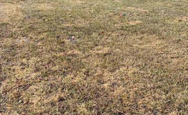 1.32ac River Rd and Farm Road, Halifax County, VA 24592