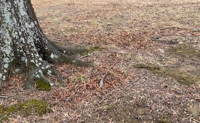 1.32ac River Rd and Farm Road, Halifax County, VA 24592