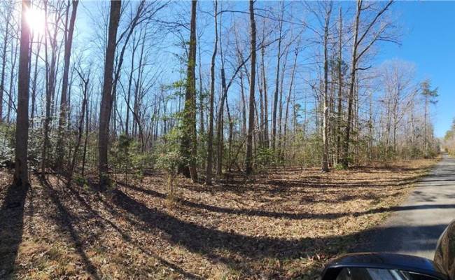 88.6 Parcel 88.6 Louisa County , Louisa County, VA 23093