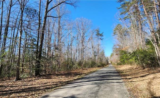 88.6 Parcel 88.6 Louisa County , Louisa County, VA 23093