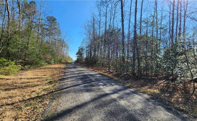 88.6 Parcel 88.6 Louisa County , Louisa County, VA 23093