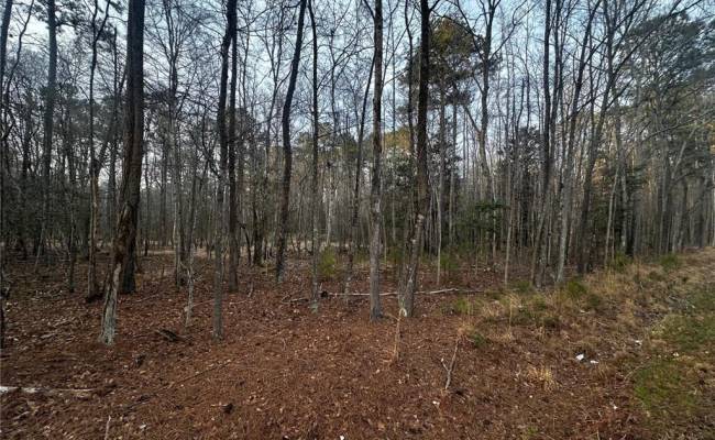 1.58AC General Thomas Highway, Southampton County, VA 23874
